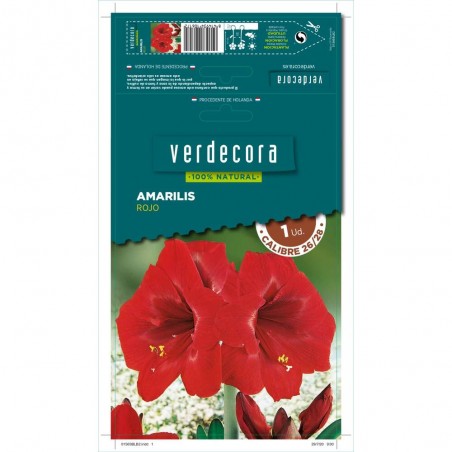 BULBO AMARILIS ROJO 1 UD