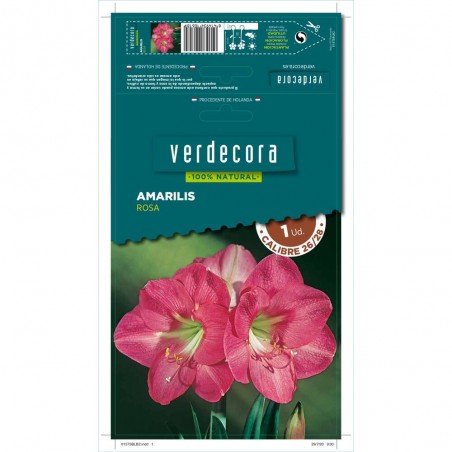 BULBO AMARILIS ROSA 1 UD