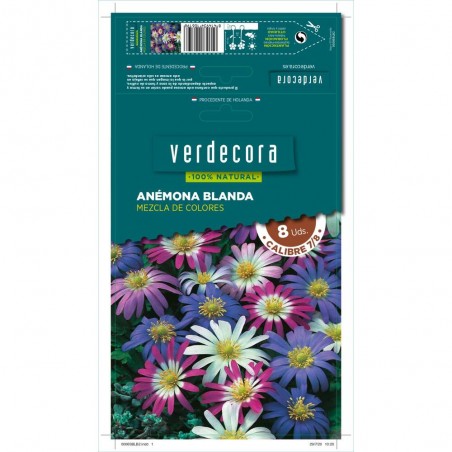 BULBOS ANÉMONA BLANDA MEZCLA 8 UDS