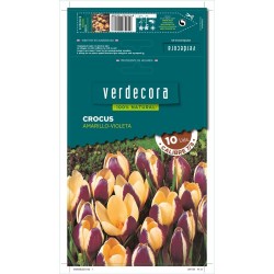 BULBOS CROCUS AMARILLO/VIOLETA 10 UDS