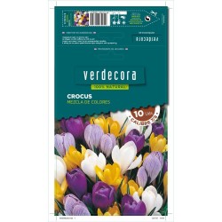 BULBOS CROCUS MEZCLA 10 UDS