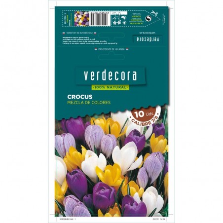 BULBOS CROCUS MEZCLA 10 UDS