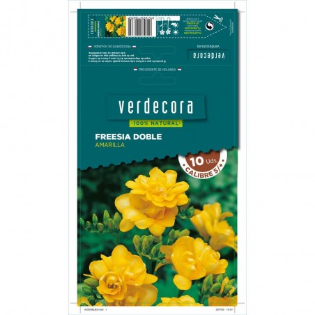 BULBOS FRESSIA DOBLE AMARILLA 10 UDS