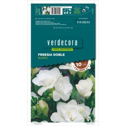 BULBOS FREESIA DOBLE BLANCA 10 UDS