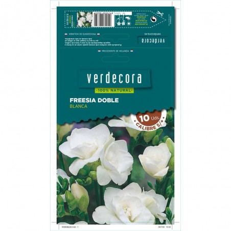 BULBOS FREESIA DOBLE BLANCA 10 UDS