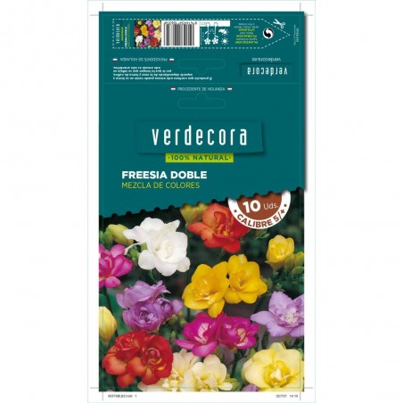BULBOS FREESIA DOBLE MEZCLA 10 UDS