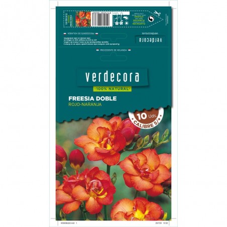 BULBOS FRESSIA DOBLE ROJO/NARANJA 10 UDS