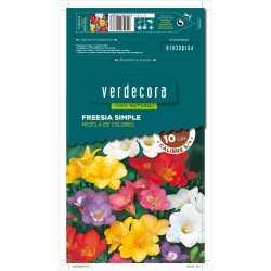 BULBOS FREESIA FLOR SIMPLE MEZCLA 10 UDS