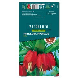 BULBO FRITILLARIA ROJA 1 UD