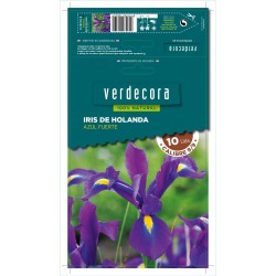 BULBOS IRIS AZUL FUERTE 10 UDS