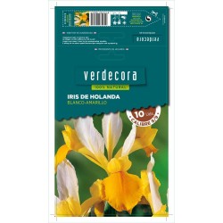 BULBOS IRIS BLANCO/AMARILLO 10 UDS