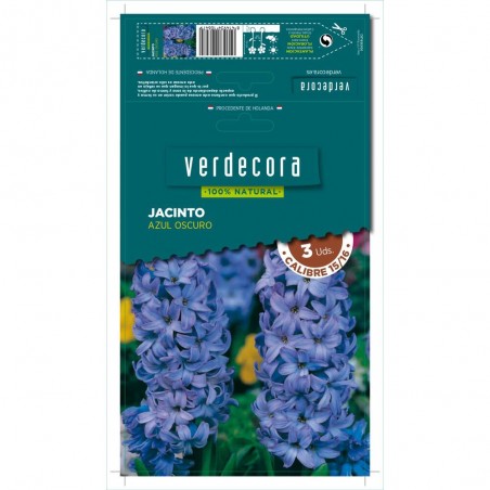 BULBOS JACINTO AZUL OSCURO 3 UDS