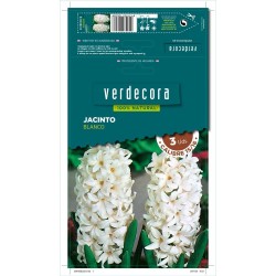 BULBOS JACINTO BLANCO 3 UDS