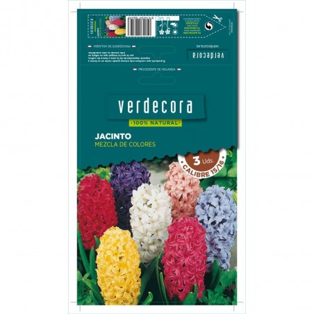 BULBOS JACINTO MEZCLA 3 UDS