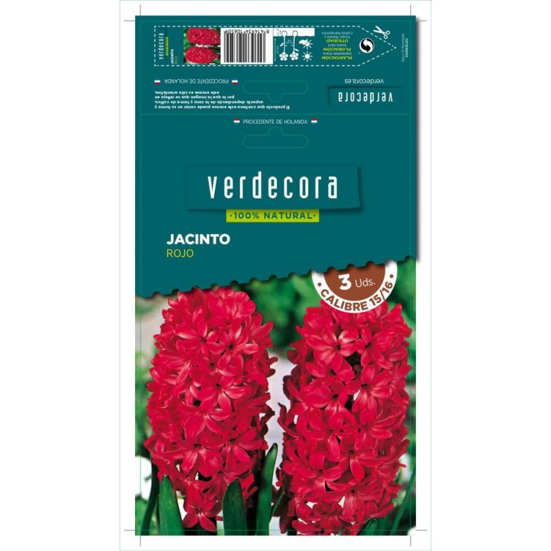 BULBOS JACINTO ROJO 3 UDS