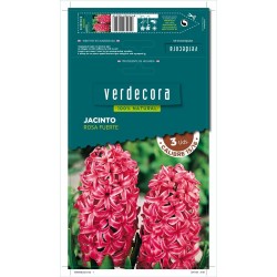 BULBOS JACINTO ROSA FUERTE 3 UDS