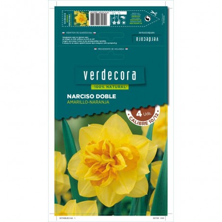 BULBOS NARCISO DOBLE AMARILLO/NARANJA 4 UDS