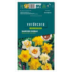 BULBOS NARCISO DOBLE MEZCLA 4 UDS