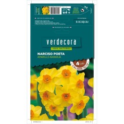 BULBOS NARCISO POETA AMARILLO/NARANJA 4 UDS