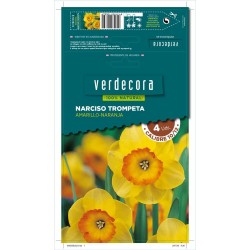 BULBOS NARCISO TROMPETA AMARILLO/NARANJA 4 UDS