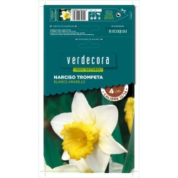 BULBOS NARCISO TROMPETA BLANCO/AMARILLO 4 UDS