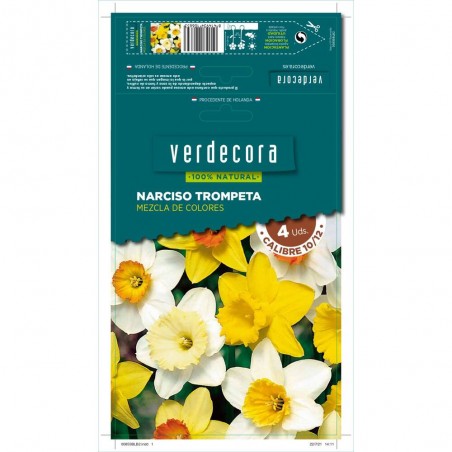 BULBOS NARCISO TROMPETA MEZCLA 4 UDS