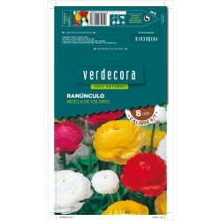 BULBOS RANUNCULO MEZCLA 8 UDS