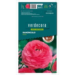 BULBOS RANUNCULO ROSA 8 UDS