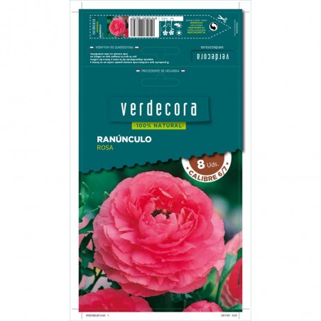 BULBOS RANUNCULO ROSA 8 UDS