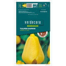 BULBOS TULIPAN DARWIN AMARILLO ORO 3 UDS