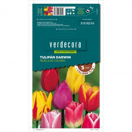 BULBOS TULIPAN DARWIN MEXCLA 3 UDS