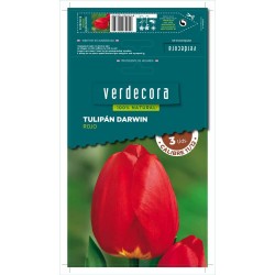 BULBOS TULIPAN DARWIN ROJO 3 UDS