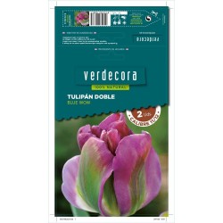 BULBOS TULIPÁN DOBLE BLUE WOW 2 UDS