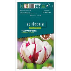 BULBOS TULIPÁN DOBLE CARNAVAL 2 UDS