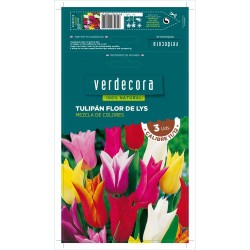BULBOS TULIPÁN LYS MEZCLA 3 UDS