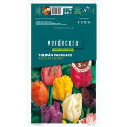 BULBOS TULIPÁN PAPAGAYO MEZCLA 2 UDS