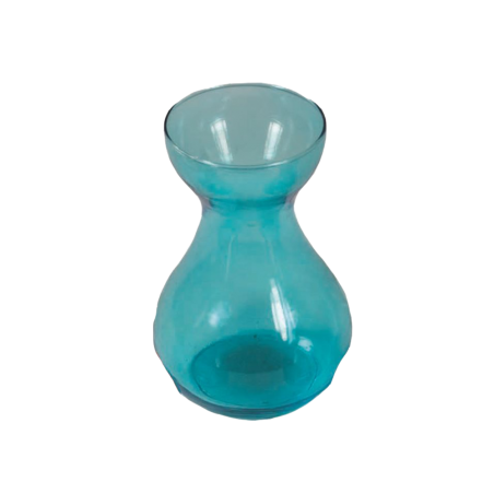 JACINTO AZUL+JACINTERO