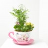 COMPO TAZA GRANDE