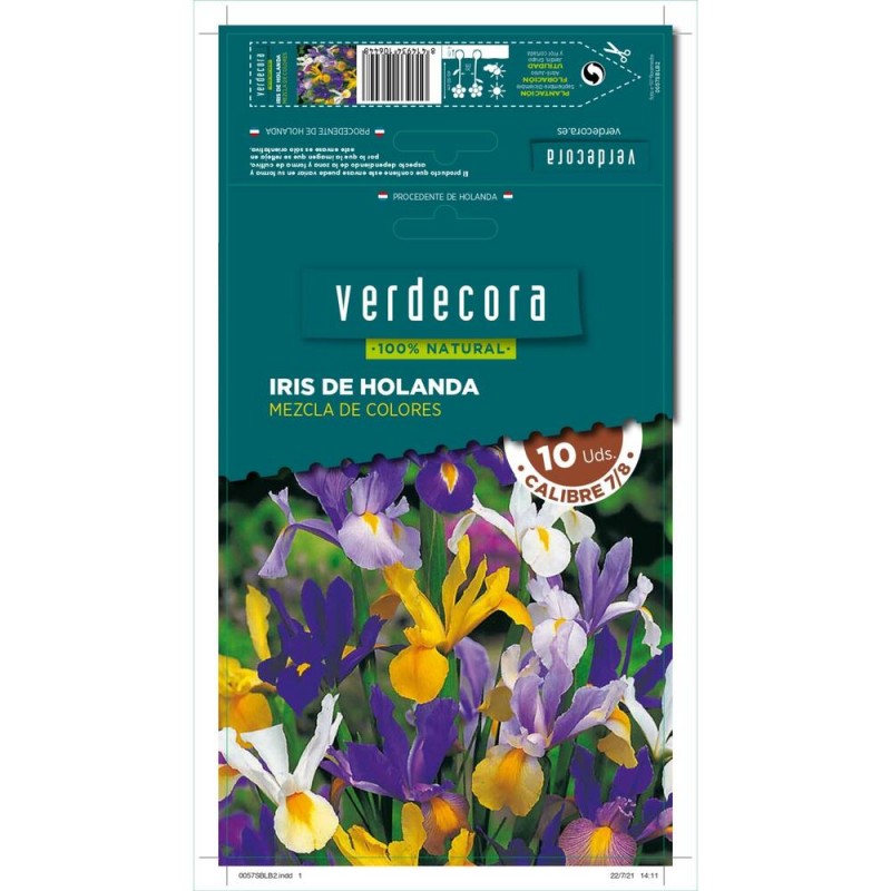 BULBOS IRIS HOLANDA MEZCLA 25 UDS
