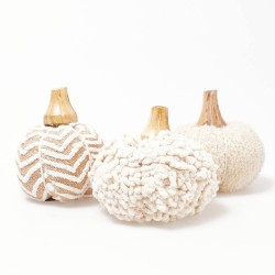 CALABAZA ALGODÓN