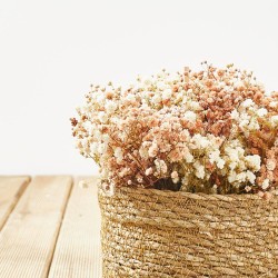 CENTRO ALAYOR QUERIDA