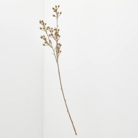 RAMA BERRIES BEIGE 66CM