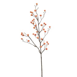 EUONYMUS BAYAS NARANJAS 68CM