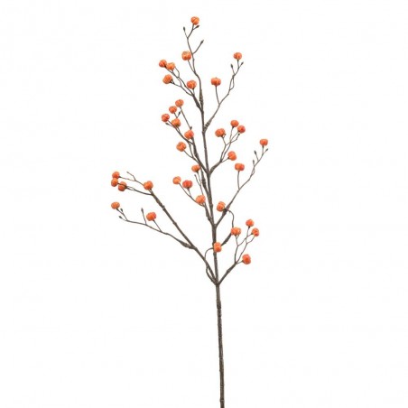 EUONYMUS BAYAS NARANJAS 68CM
