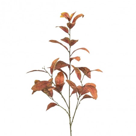 PRUNUS ROJO 100CM