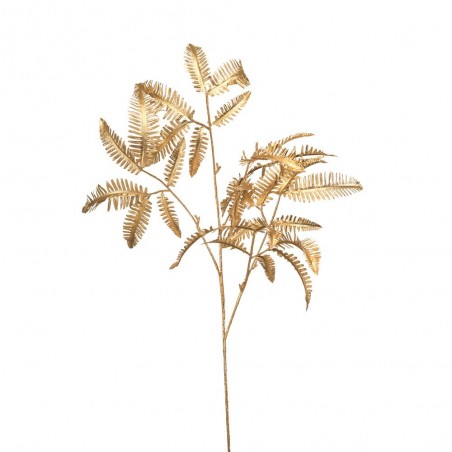 HELECHO ORO 70CM