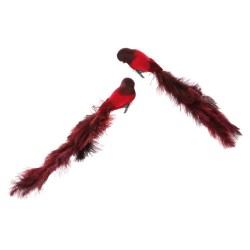 PÁJARO ROJO COLA AVEZTRUZ 40CM