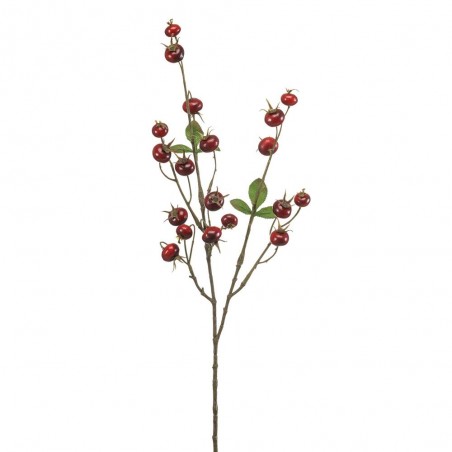 ROSA MOSQUETA ROJO 78CM