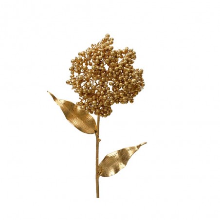 ALLIUM ORO 12CM