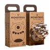 EL MONSTRUO DE LAS SETAS
